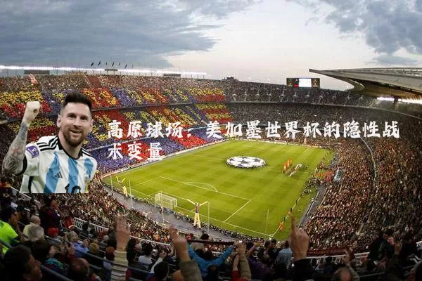 高原球场:美加墨世界杯的隐性战术变量